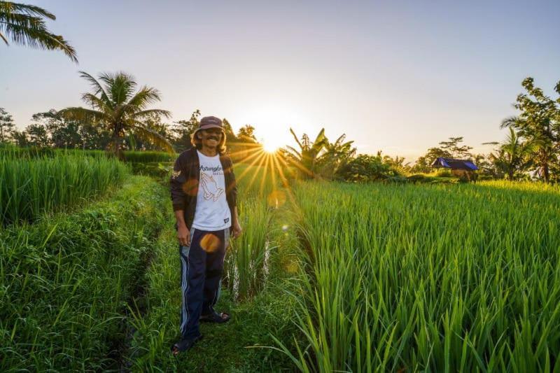 Carik Tangis Boutique Homestay จาตีลูวีห์ ภายนอก รูปภาพ