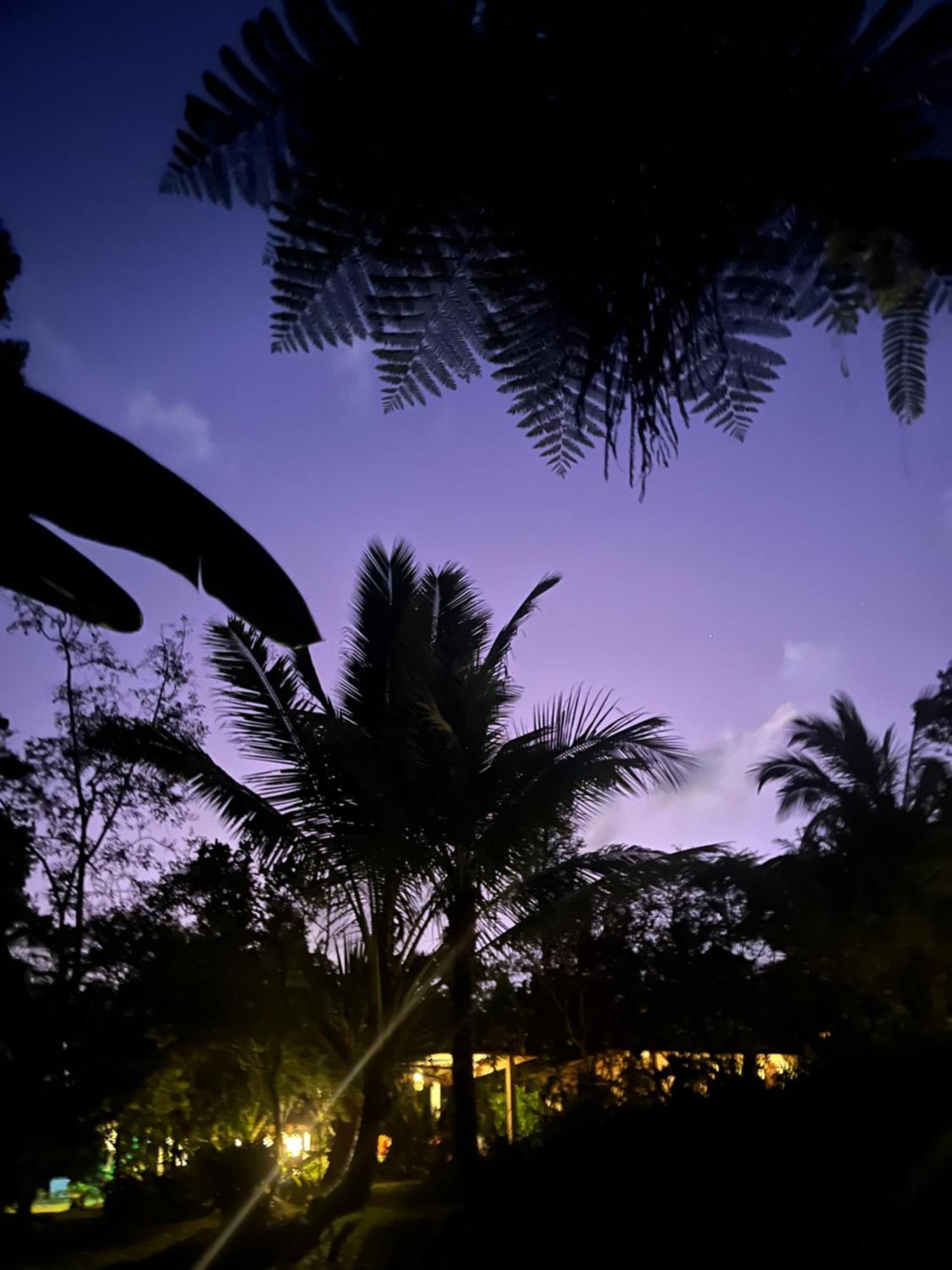 Carik Tangis Boutique Homestay จาตีลูวีห์ ภายนอก รูปภาพ