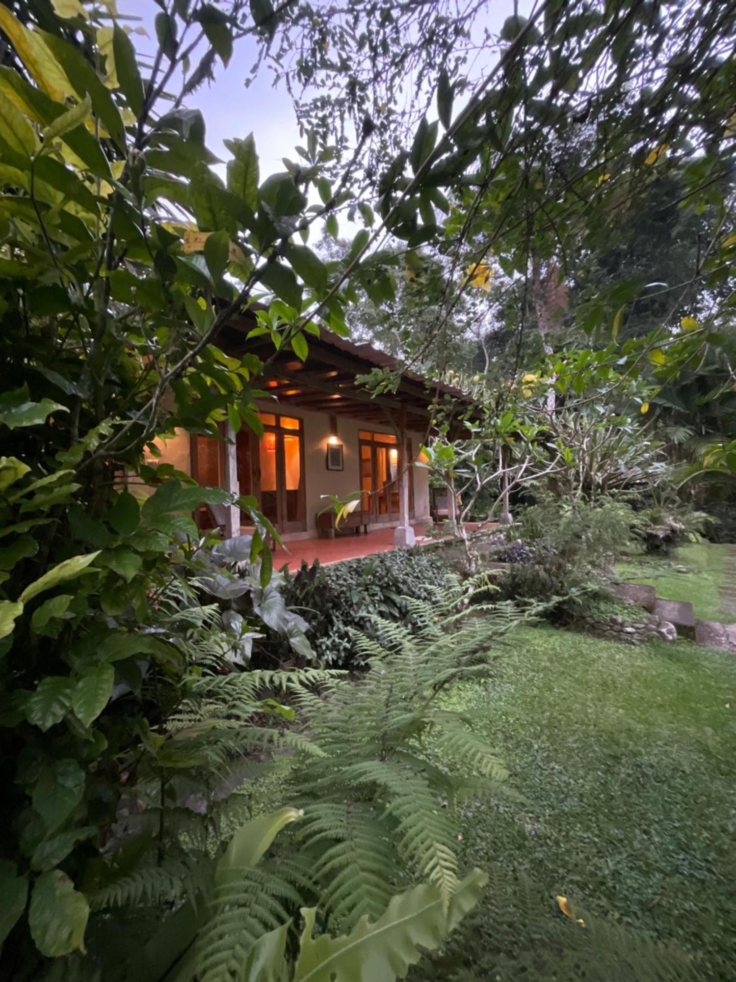 Carik Tangis Boutique Homestay จาตีลูวีห์ ภายนอก รูปภาพ