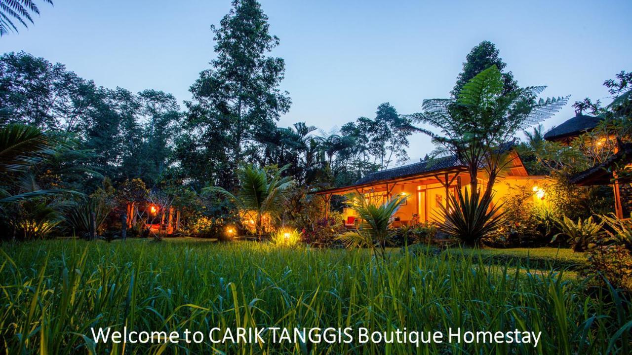 Carik Tangis Boutique Homestay จาตีลูวีห์ ภายนอก รูปภาพ
